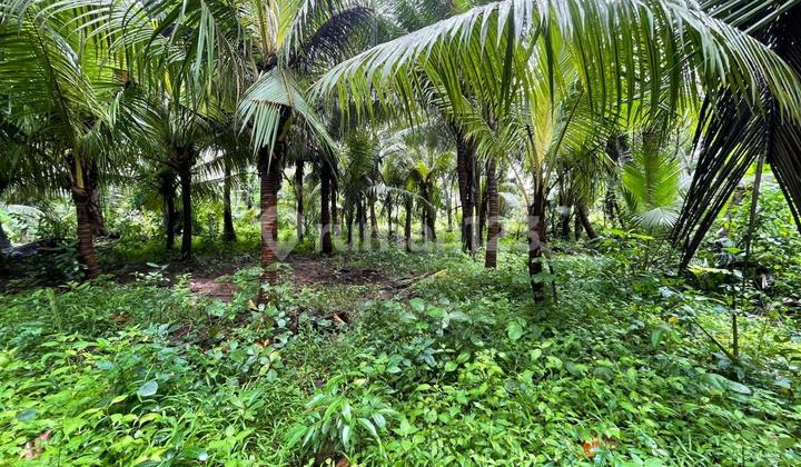 Tanah Jual Lokasi Saba