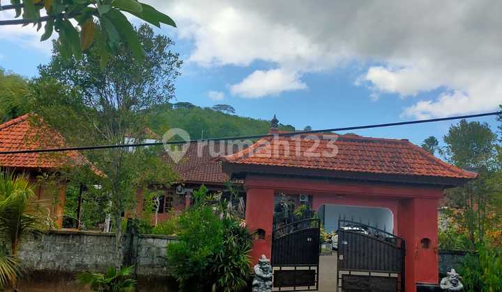 Tanah Jual Lokasi Balangan Tanah Jual Lokasi Balangan