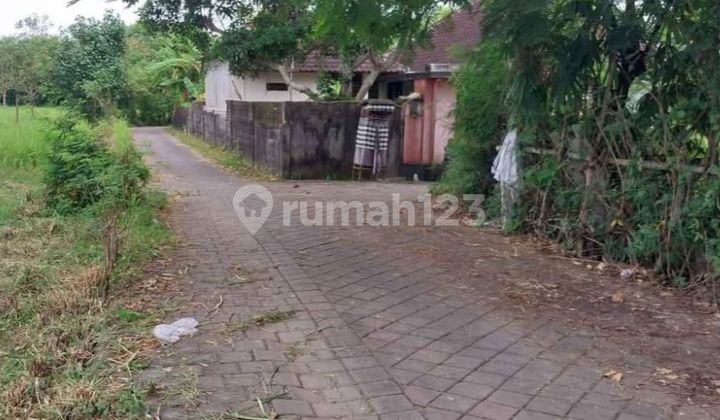 Tanah Jual Lokasi Jimbaran Tanah Jual Lokasi Jimbaran