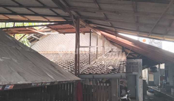 Tanah Jual Lokasi Canggu