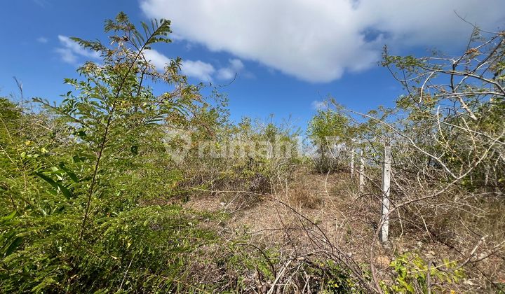 Tanah Jual Lokasi Kutuh