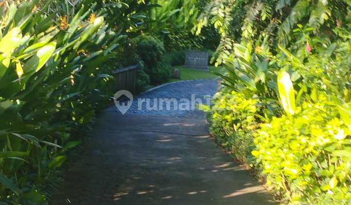 Tanah Jual Lokasi Kedungu