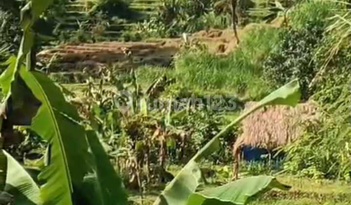 Tanah Jual Lokasi Sidemen