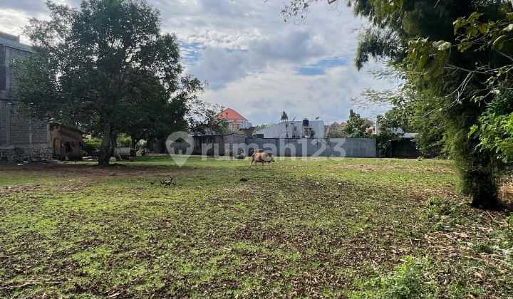 Jual Tanah Samping Kampus Unud Jimbaran Bawah Kuta Selatan