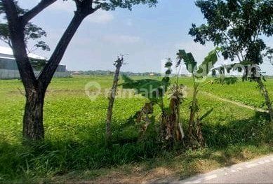 Land in the Kapas Area of Bojonegoro Land in the Kapas Area of Bojonegoro