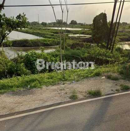 Land Betoyo Manyar Gresik Land Betoyo Manyar Gresik