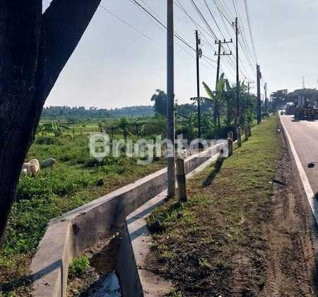 Tanah Murah Nol Jalan Pantura Tuban