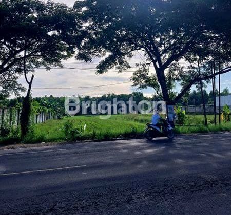 Commercial Land Zero National Road