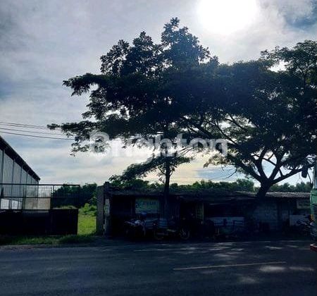 Zero Land National Road Tuban