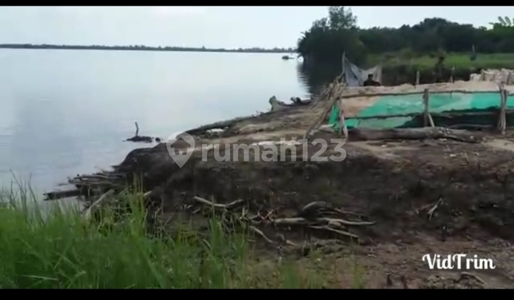 Jual Tanah Kapuas Kalimantan Tengah di Kapuas Kuala