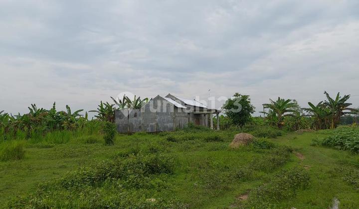 Land Plot For Sale Bojonegoro Land Plot For Sale Bojonegoro