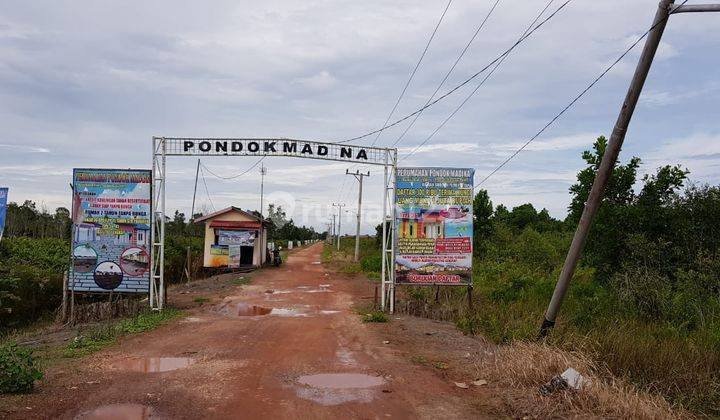 Jual Tanah Barito Kuala Kalimantan Selatan 2