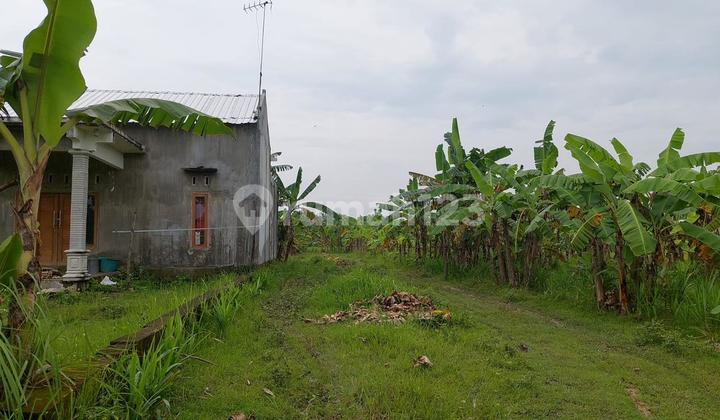 Land Plot For Sale Bojonegoro Land Plot For Sale Bojonegoro