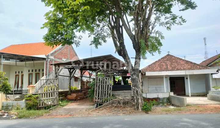 Land & House for Sale in Benjeng, Gresik Land & House for Sale in Benjeng, Gresik