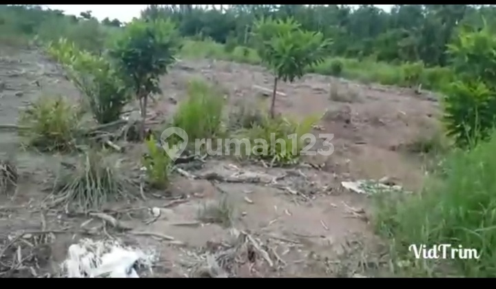 Jual Tanah Kapuas Kalimantan Tengah di Kapuas Kuala