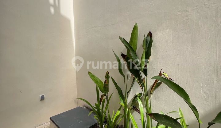 For Sale Semi Villa House Near Sanur