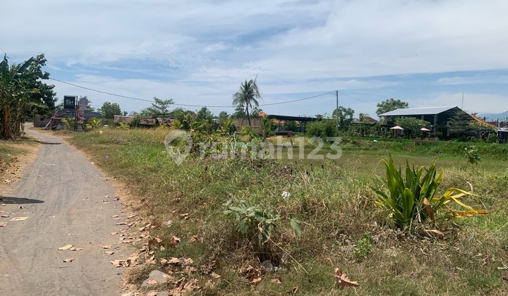 Dijual Tanah Depan Pantai Dikeliligi Sawah Dan View Gunung Yang Menawan Tanah di Singaraja SHM 800.0 m²