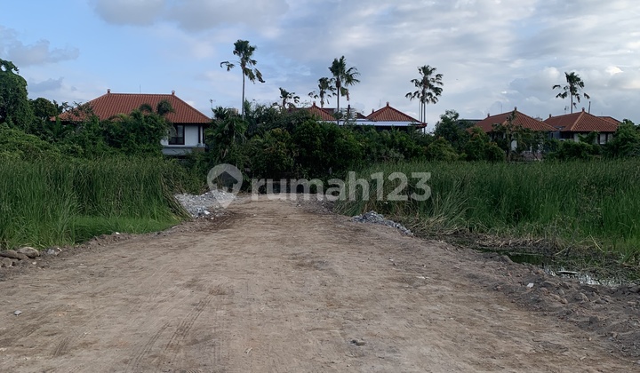 Plot Tanah Disewakan Jangka Panjangdi Sanur Tanah di Sanur Hak Sewa Plot Tanah Disewakan Jangka Panjangdi Sanur Tanah di Sanur Hak Sewa