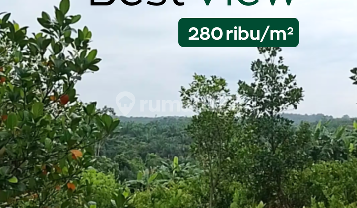 Suitable Villa, Land on Jl. Suka Maju, Peaceful Valley: Beautiful View Suitable Villa, Land on Jl. Suka Maju, Peaceful Valley: Beautiful View