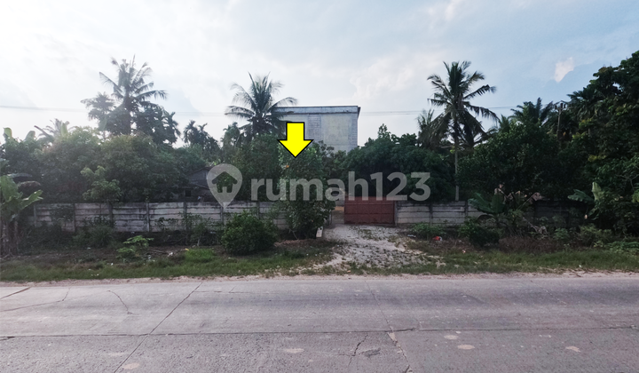 Edge of East Cross Road, Next to Kipk, Land for Sale: Certificate of Ownership
