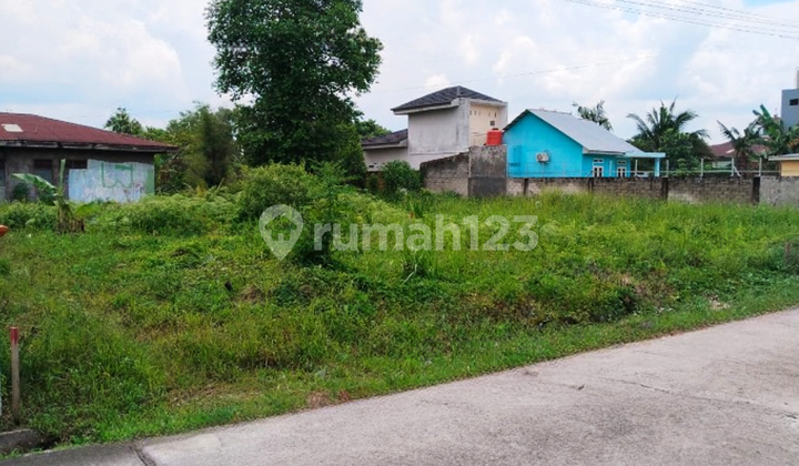 Jl. Purwodadi - Panam Dekat, Tanah Dijual: Surat SHM