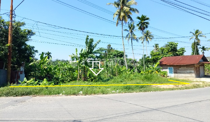View Estetik, Tana Pinggir Jalan Aspal, Jl. Satria - Lokomotif