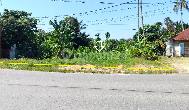 View Estetik, Tana Pinggir Jalan Aspal, Jl. Satria - Lokomotif