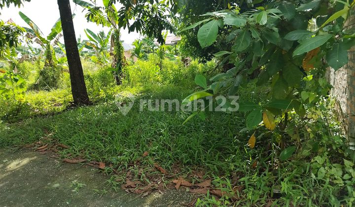 To Jl. Purwodadi 120-An M, Land for Sale: SHM To Jl. Purwodadi 120-An M, Land for Sale: SHM