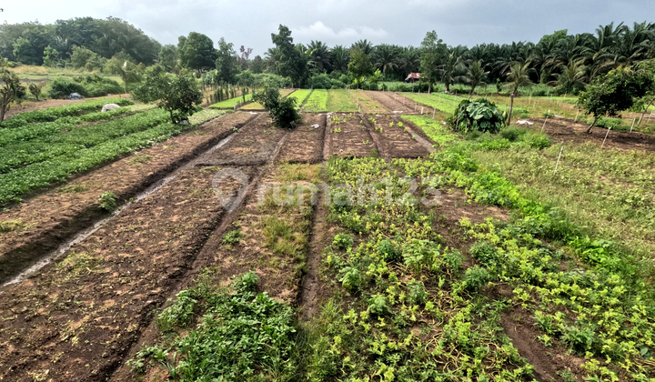 Dijual Cepat: Lahan Potensial/Prospek