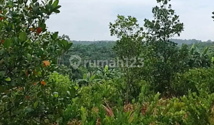 Suitable Villa, Land on Jl. Suka Maju, Peaceful Valley: Beautiful View Suitable Villa, Land on Jl. Suka Maju, Peaceful Valley: Beautiful View