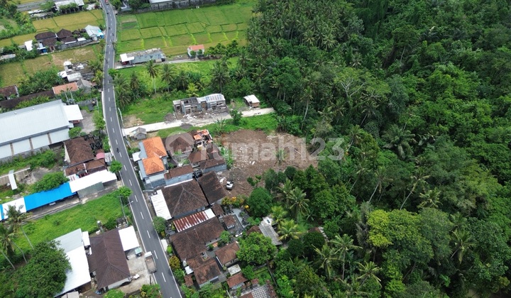 Tanah Strategis Mengwi Cocok untuk Rumah Tinggal Tanah Strategis Mengwi Cocok untuk Rumah Tinggal