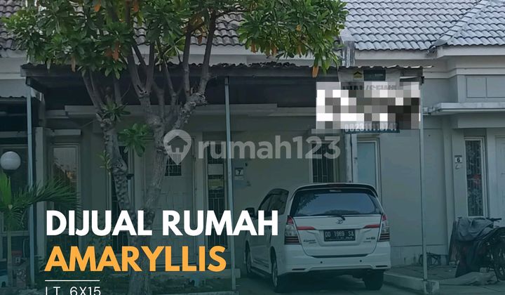 Amarylis Cluster House, Tanjung Bunga Makassar - Ready to Occupancy with SHM (Certificate of Ownership)