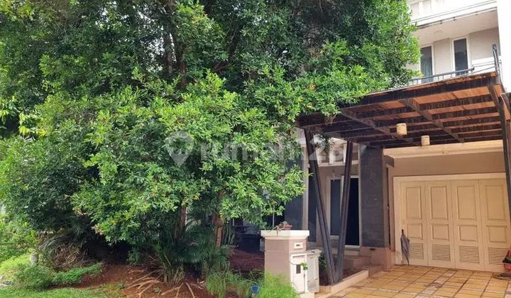 Rumah 2 Lantai Full Renovasi Scientia Garden Pascal Gading Serpong BSD City Tangerang Banten Jesl Rumah 2 Lantai Full Renovasi Scientia Garden Pascal Gading Serpong BSD City Tangerang Banten Jesl