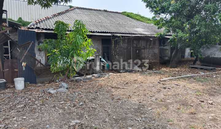 Disewakan Tanah Di Semper Priok Cilincing Strategis Disewakan Tanah Di Semper Priok Cilincing Strategis