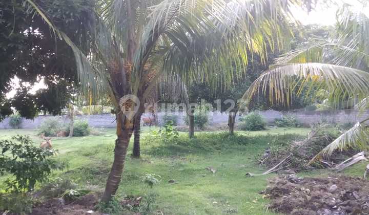 Dijual Tanah di Bali Jembrana Strategis Ad Villa dan Pantai