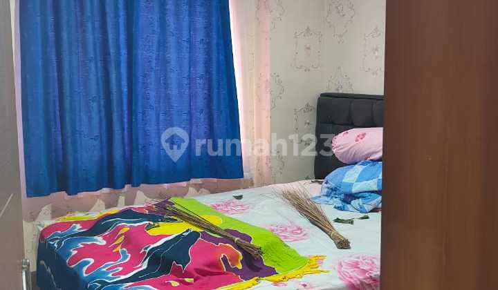 Apartment Palm Mansion (2 Br) 2