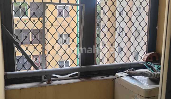 Apartemen Palm Mansion (Luas 36M) 2