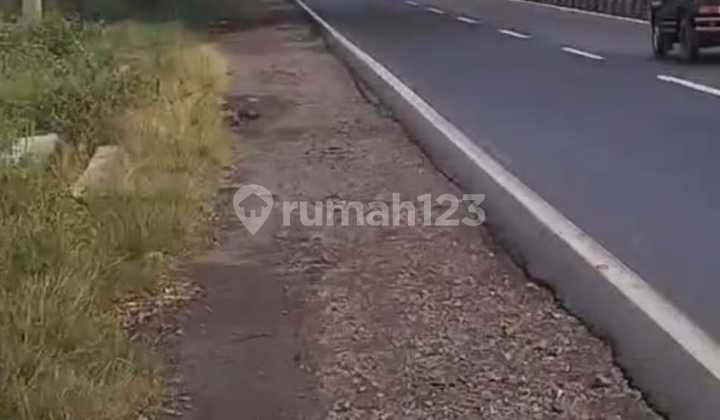 Di Jual Tanah Padat Pinggir Jalan Pantura Dekat Pelabuhan Patimban