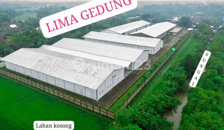 FOR SALE WAREHOUSE CERTIFICATE Ds.Waung Kec. Baron Nganjuk