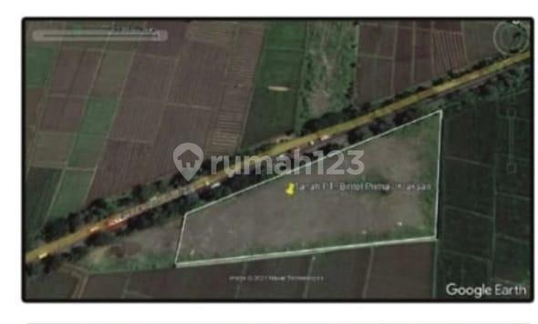 Tanah Kraksaan Probolinggo Lokasi Strategis 0 Jalan Nasional Tanah Kraksaan Probolinggo Lokasi Strategis 0 Jalan Nasional
