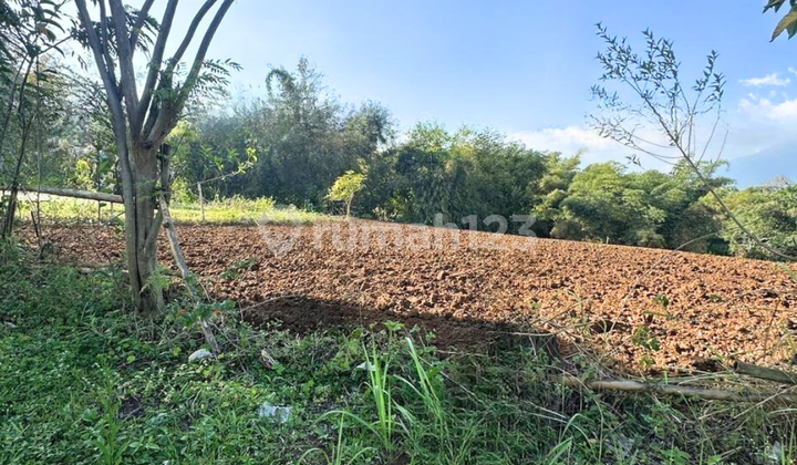 Tanah Komersial di Panderman Hill Dekat Golden Tulip Tanah Komersial di Panderman Hill Dekat Golden Tulip