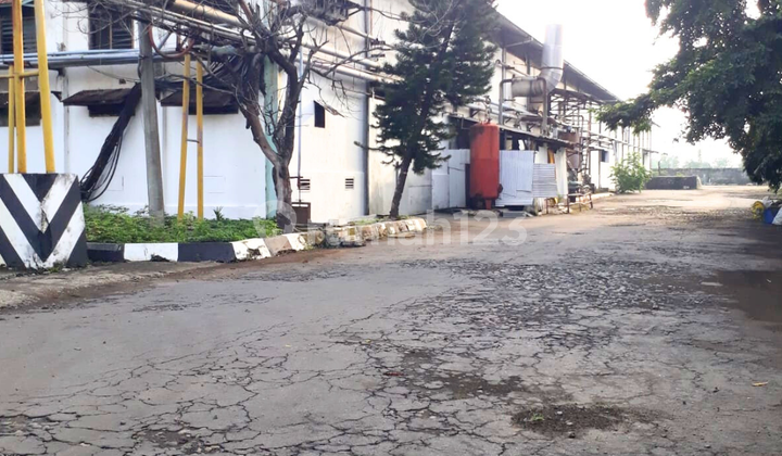 Sell Paper Factory Kertosono Nganjuk Direct Owner