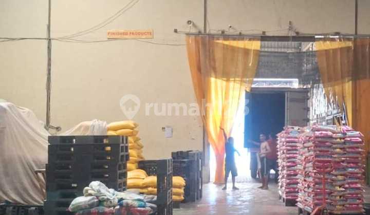 EX Penggilingan Beras Gudang Bumi Maspion Romokalisari EX Penggilingan Beras Gudang Bumi Maspion Romokalisari