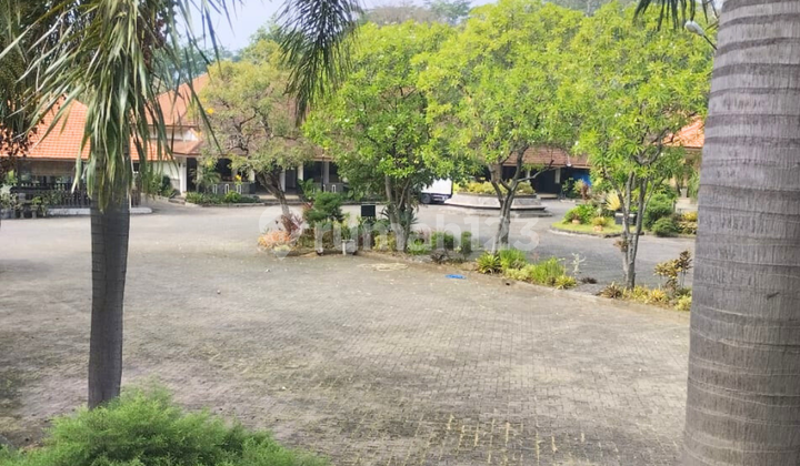 JUAL TANAH SHM Jl Raya Malang Surabaya Utara kebun raya Purwodadi