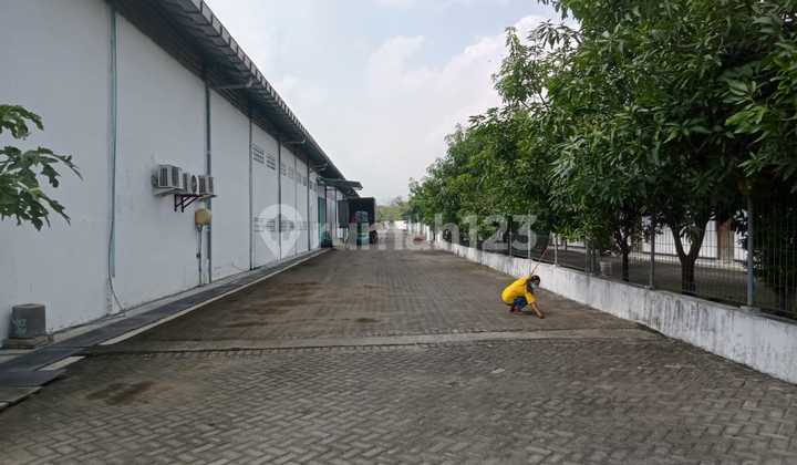 Selling Shoe Factory Jombang, Factory Still Active (Production) Jombang