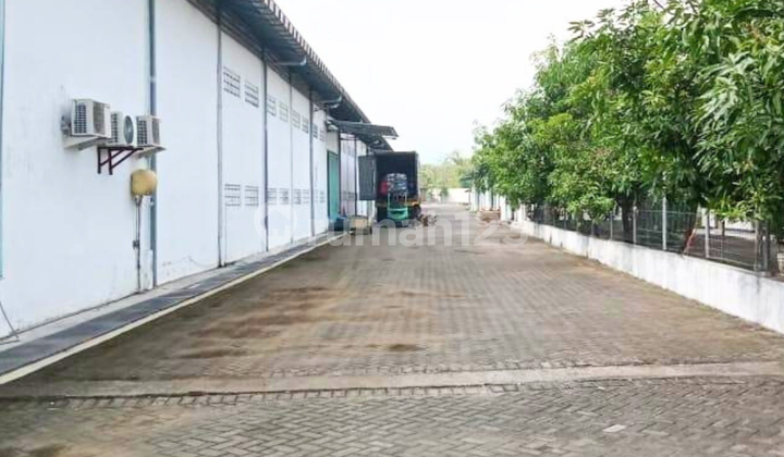 Selling Shoe Factory Jombang, Factory Still Active (Production) Jombang