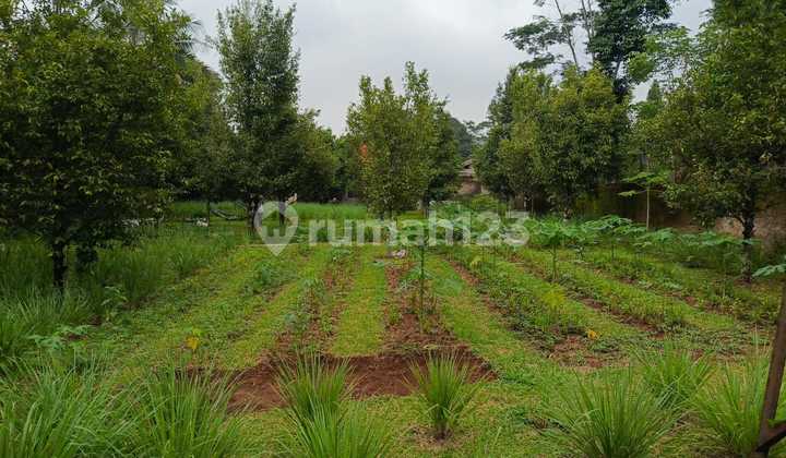 Jual Tanah/rumah Ciparanje Cikalong Wetan