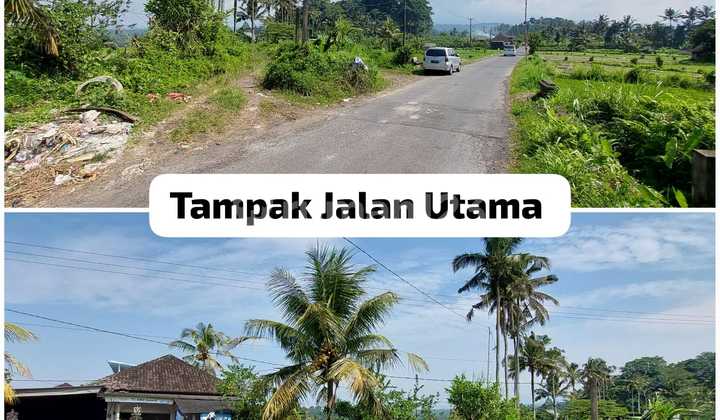 Tanah 12,5 Ha di Muncan Rendang Cocok untuk Hotel/villa Tanah 12,5 Ha di Muncan Rendang Cocok untuk Hotel/villa