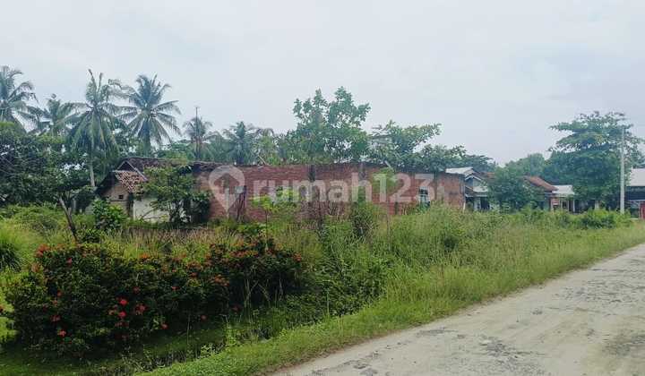 Dijual Tahan seluas 1.615 m² di Labuhan Maringgai - Lampung