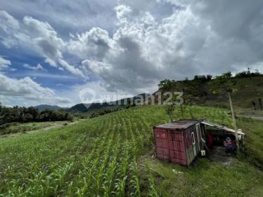  Dijual Perkebunan Seluas 19.962 m2 di Totabuan - Sulawesi Utara